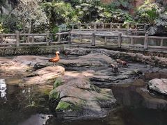 -南宫五洲植物乐园