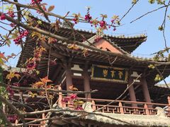 -西安青龙寺遗址景区