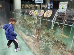 -上海大自然野生昆虫馆(东方明珠·爬宠昆虫探索中心)