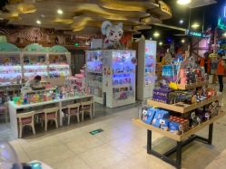 -卡通尼·Safari非洲探索乐园·生日会(金桥国际商业广场店)