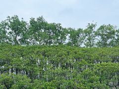 -深圳湾公园(南山区)