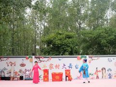 -合肥滨湖国家森林公园