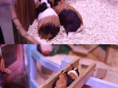 -正佳雨林生态植物园