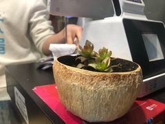 -椰子下蛋(南锣鼓巷店)
