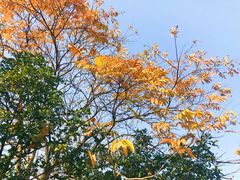 -昆承湖酒家·本帮农家菜