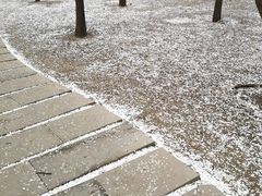 -长春市南湖公园