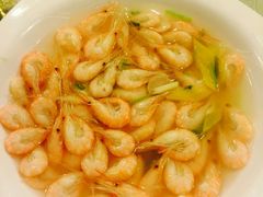 白虾-西新饭店(城中店)