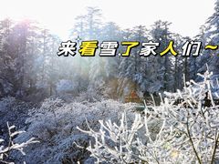 -瓦屋山景区