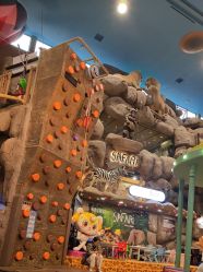 -卡通尼·Safari非洲探索乐园·生日会(金桥国际商业广场店)