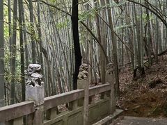 -敬亭山风景名胜区