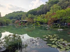 -云溪植物园