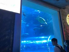 -太平洋海底世界