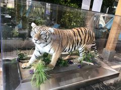 -弘安丽水温泉酒店