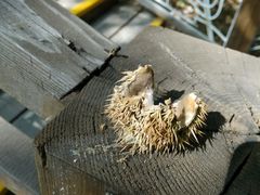 -北京宽沟会议中心