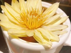 莲花鸡汤-甄御•海鲜新青岛菜(麦岛店)