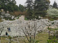 -南山植物园
