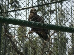 -兰陵国家农业公园