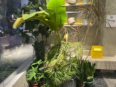-自然椰·海南清补凉(明珠店)