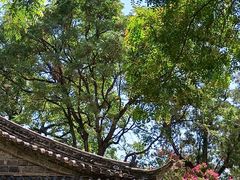 -建水文庙