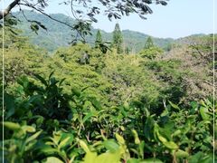 -广州市白云山风景名胜区