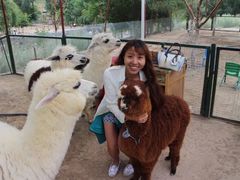 -新疆天山野生动物园