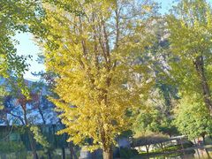 -Club Med地中海俱乐部·桂林度假村