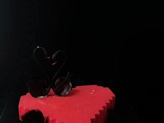 -西檬树SIMON·T轻奢蛋糕(大东方Max店)