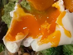 -Wagas沃歌斯(大学路店)