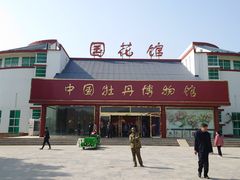 -曹州牡丹园