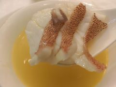 东星斑鱼-高老庄新家宴(北斗星广场店)