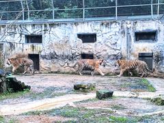 景点-黔灵山公园