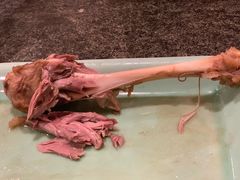 -河东颐祥阁(世贸店)