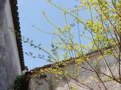 -乌镇东栅景区