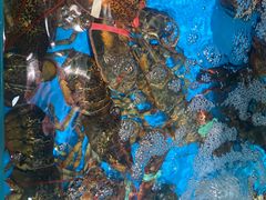 -王大厨·海鲜·家常菜