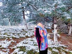-西海子公园