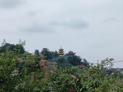 -磁器口古镇