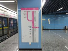 -大龙山(地铁站)