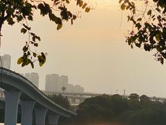 -厦门园林博览苑