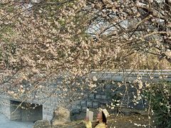 -国际非物质文化遗产博览园