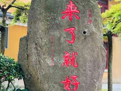 -普陀山风景名胜区-法雨禅寺
