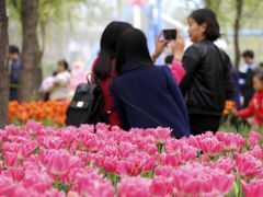 _MG_9591-洛阳郁金香牡丹园