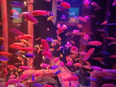 -沈阳海洋探索中心