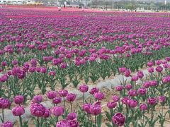 -嵖岈山风景区