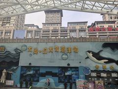 -太奥幻太奇海洋馆