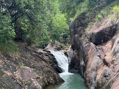 -广州白江湖森林公园