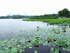 -尚贤河湿地