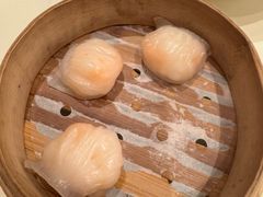 原汁鲜虾饺-利苑酒家(合景国际金融广场店)