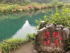 -靖西鹅泉风景区