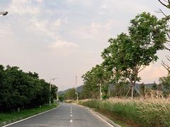 -光明小镇欢乐田园