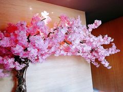 -紫· 割烹  Kappo Murasaki